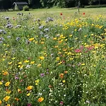 Bed & Breakfast Domaine De Savignac Chabanais