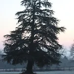 Domaine De Savignac
