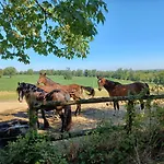 Domaine De Savignac 4* Chabanais