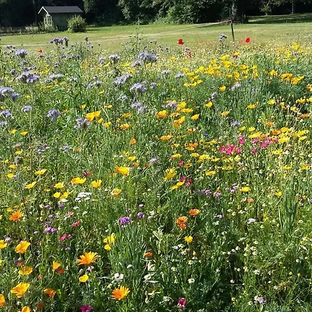 Bed & Breakfast Domaine De Savignac Chabanais