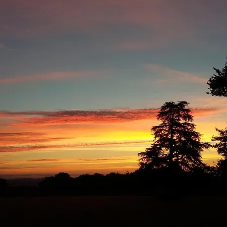Domaine De Savignac Bed & Breakfast Chabanais