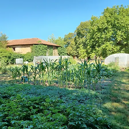 Domaine De Savignac Chabanais