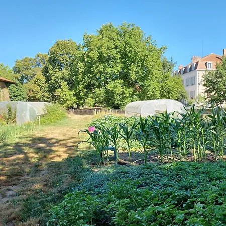 Domaine De Savignac Chabanais
