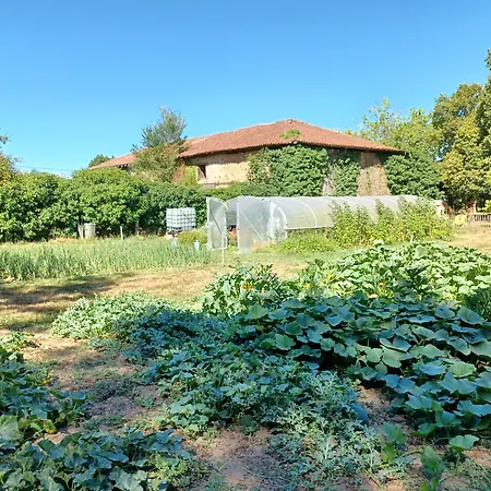 Domaine De Savignac Bed & Breakfast 4*