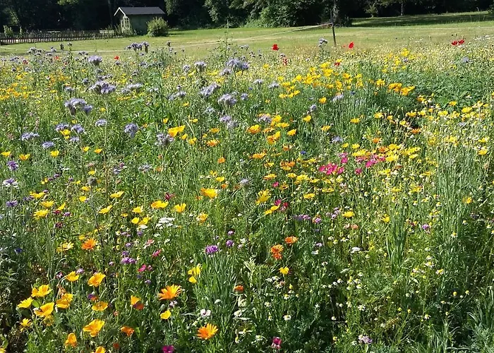 Couette-café Domaine De Savignac Chabanais