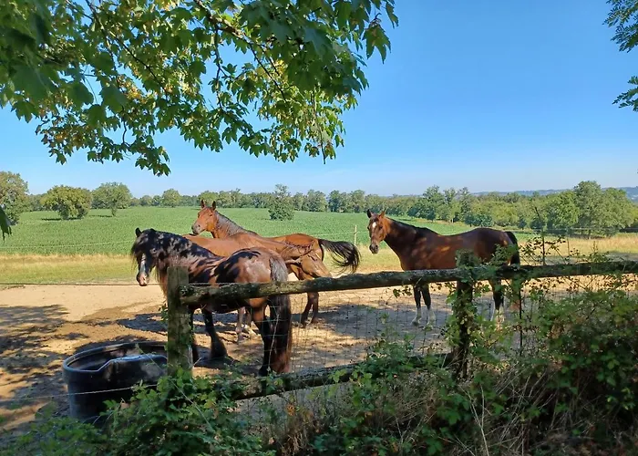 Domaine De Savignac 4* Chabanais
