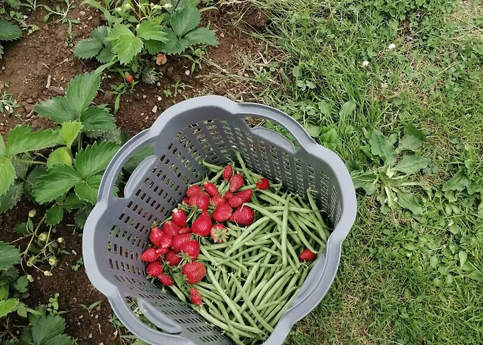 Domaine De Savignac Couette-café Chabanais