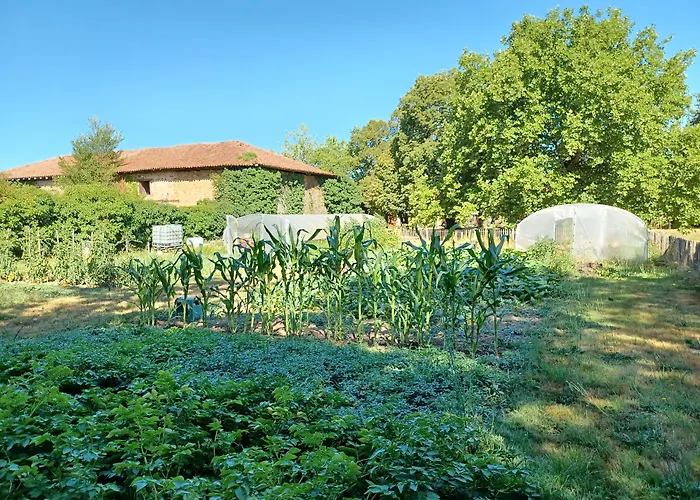 Domaine De Savignac Chabanais