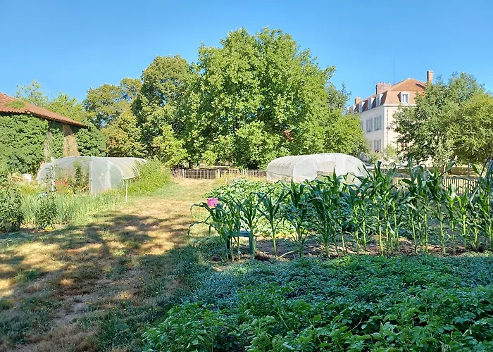 Domaine De Savignac Chabanais